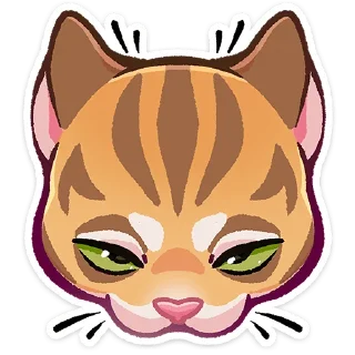 🐱