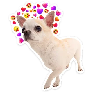 ⭐