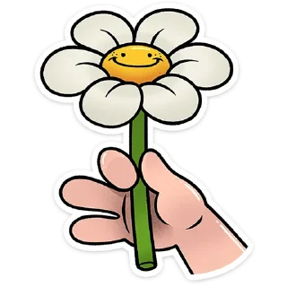 ⭐