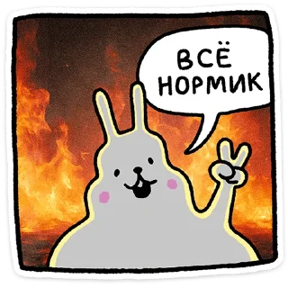 🐰