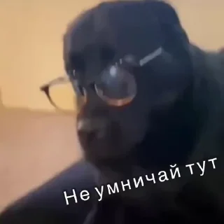 🤓