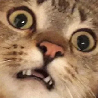 😦