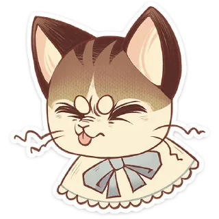 🐱