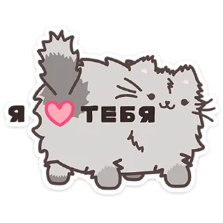 🐱