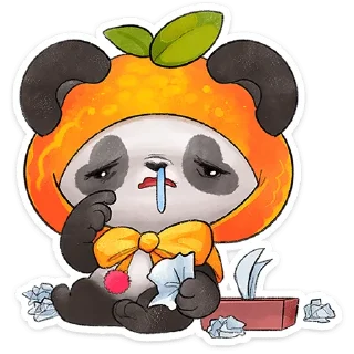 🐼