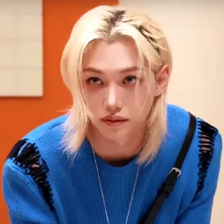 🎣