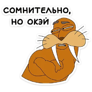 ⭐