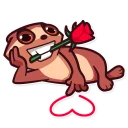 🌹