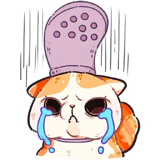 😢
