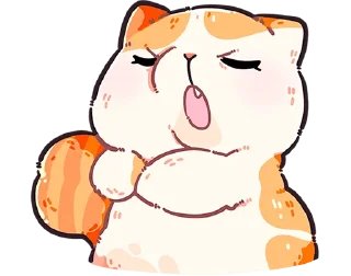 🐱