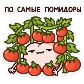 🌟