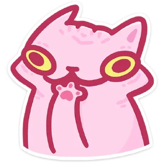 🐱