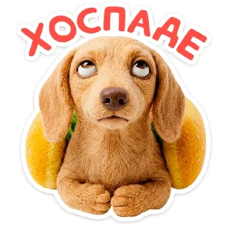 🐶