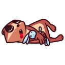 😴