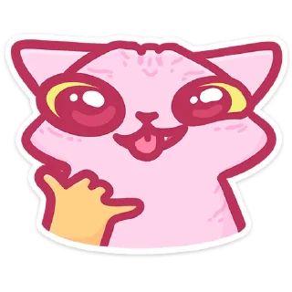 🐱
