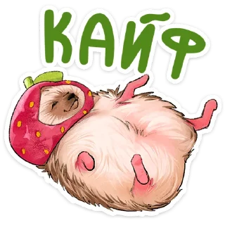 🍓