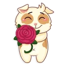 🌹