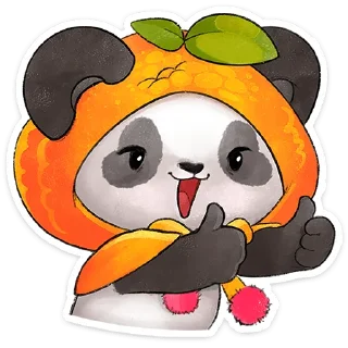 🐼
