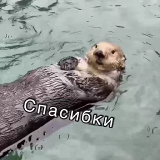 🙏
