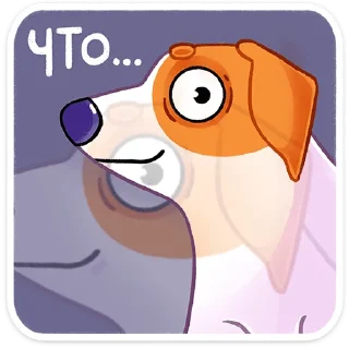 🤨