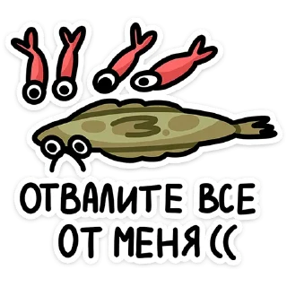 ⭐