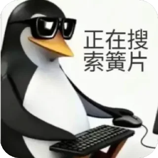💻