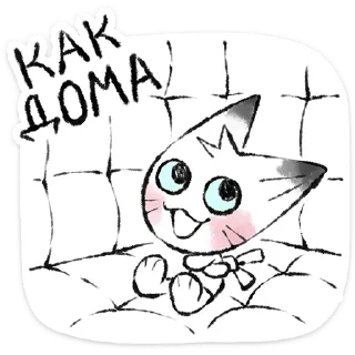 🐱
