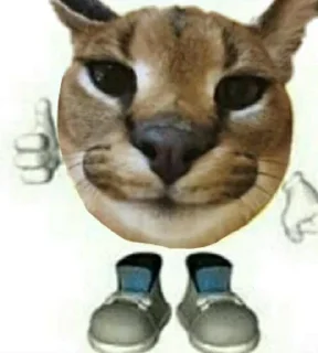 😺