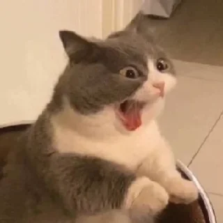 😤