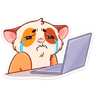 😢