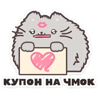 🐱