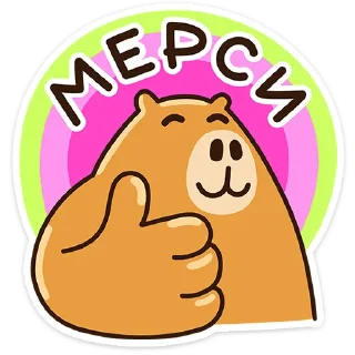 ⭐