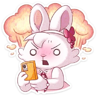 🐰