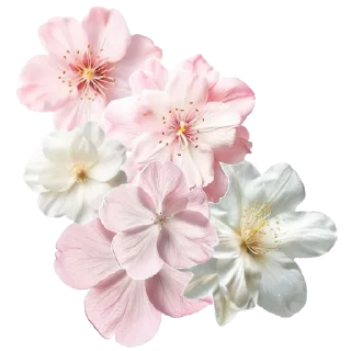 🌸