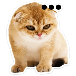 Котятки — Telegram sticker pack