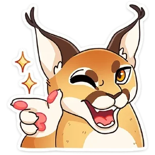 ✨