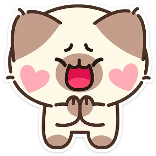 🐱