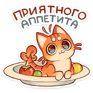 🐱