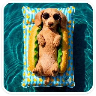 🐶