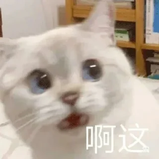 😗