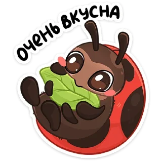 🐞