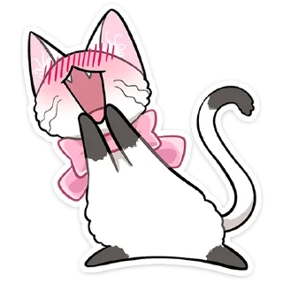 🐱