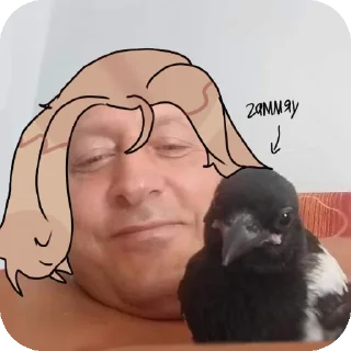 🐔