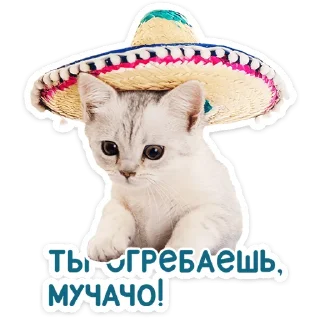 Котятки — Telegram sticker pack