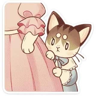 🐱