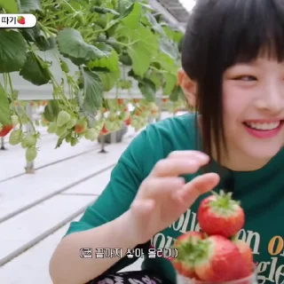 🍓