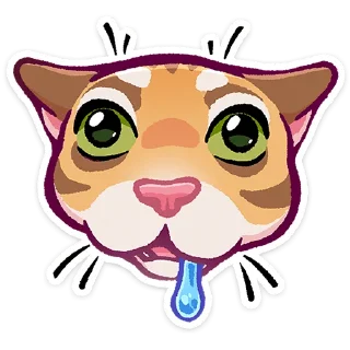🐱