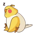 😴