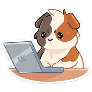 ⌨️