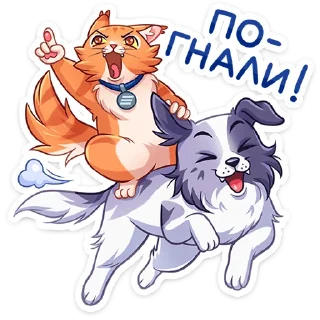⭐